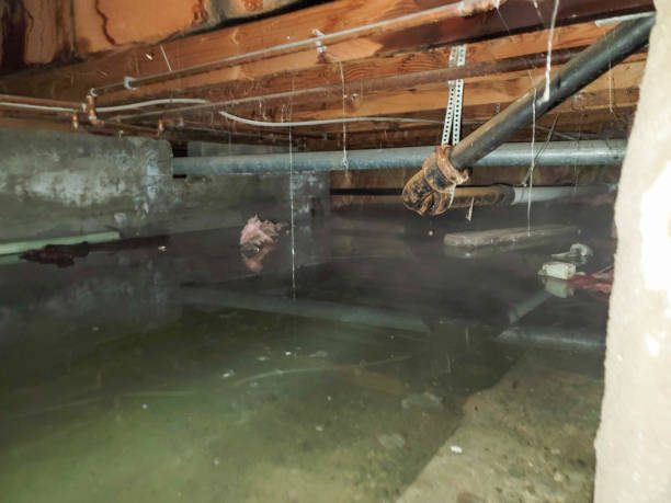 Best Ceiling water damage repair  in Russellville, AL