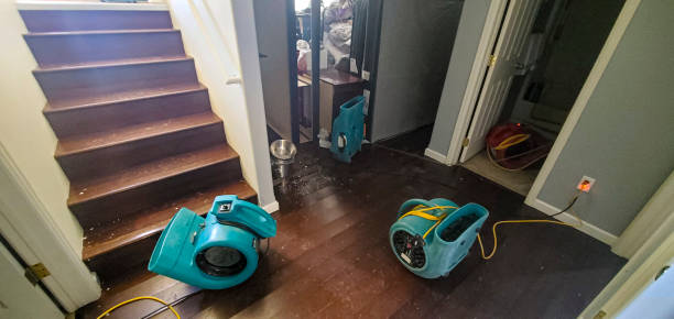 Best Water damage restoration specialists  in Russellville, AL