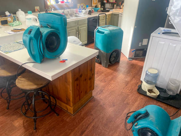 Best Emergency water damage restoration  in Russellville, AL