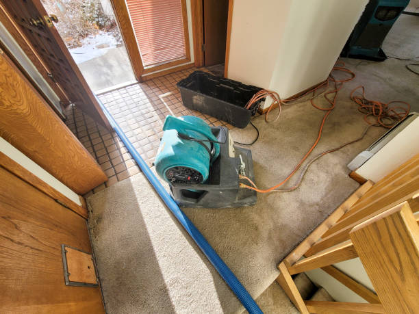 Best Water damage restoration near me  in Russellville, AL
