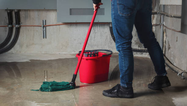 Best Basement water damage restoration  in Russellville, AL