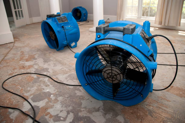 Best Professional water damage repair  in Russellville, AL
