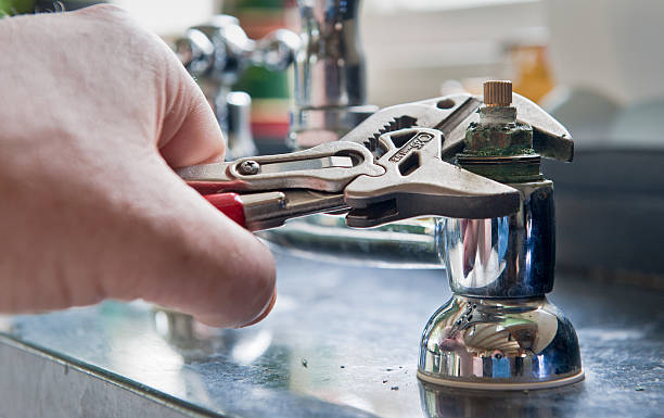 Best Carpet water damage restoration  in Russellville, AL