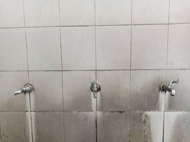 Best Fire Damage Restoration  in Russellville, AL