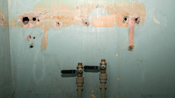 Best Water damage restoration insurance claims  in Russellville, AL