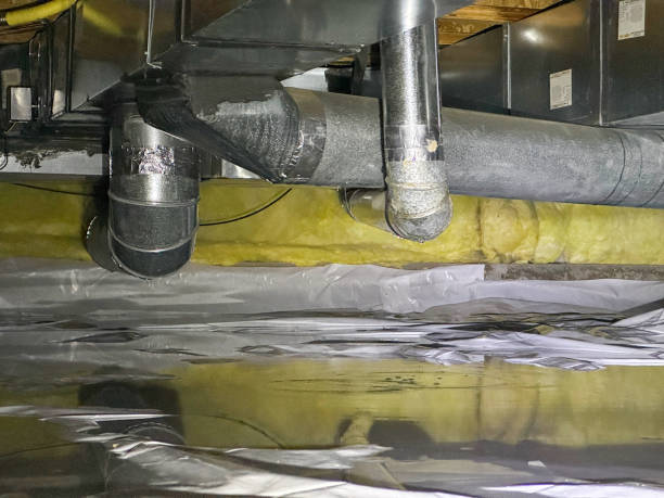 Best Local water damage restoration  in Russellville, AL