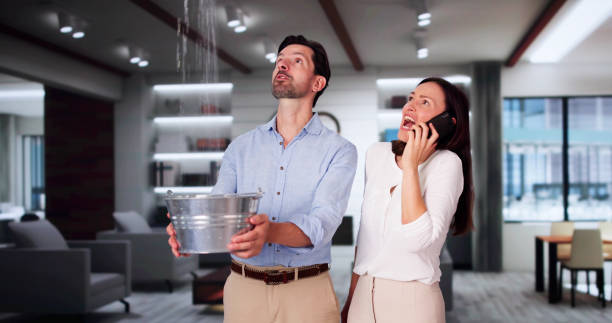  Russellville, AL Water damage restoration Pros